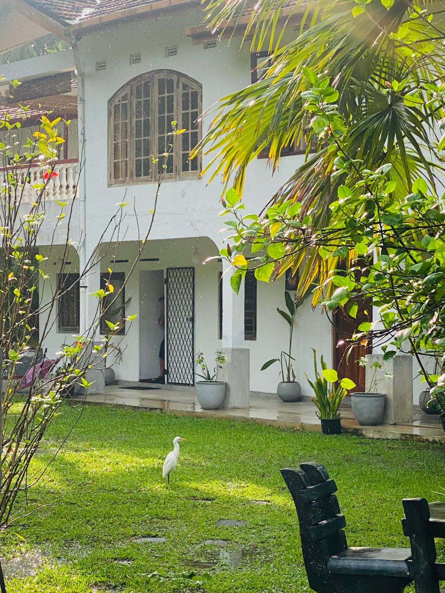Sunny'S Garden Hotel Ambalangoda  Exteriér fotografie
